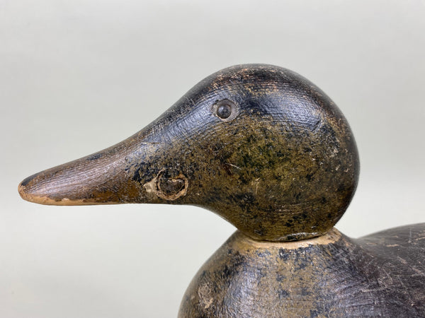 Mason Mallard Hen, Tack-eye, All Original (#6052)