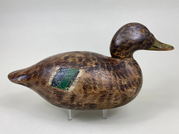 Mason Premier Diver Decoy, Kessler Paint, Circa 1920's (#6061)