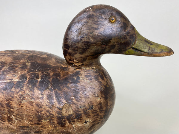 Mason Premier Diver Decoy, Kessler Paint, Circa 1920's (#6061)