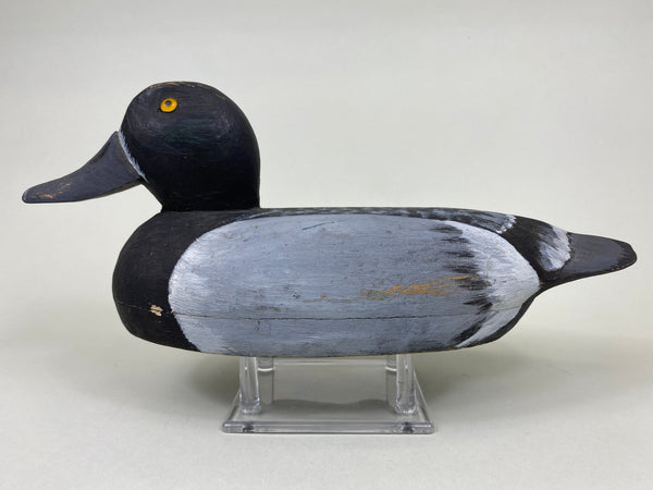 Hollow Illinois River Blue Bill Hen (#6065)