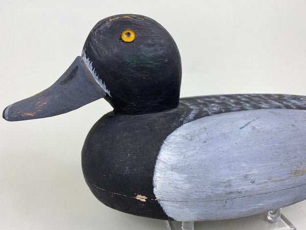 Hollow Illinois River Blue Bill Hen (#6065)