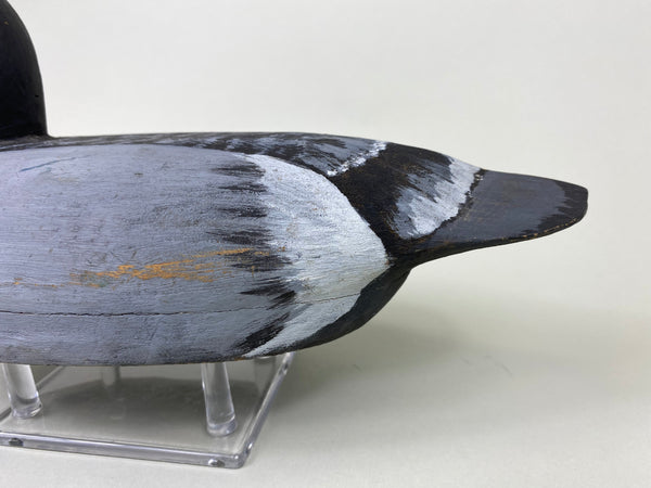 Hollow Illinois River Blue Bill Hen (#6065)