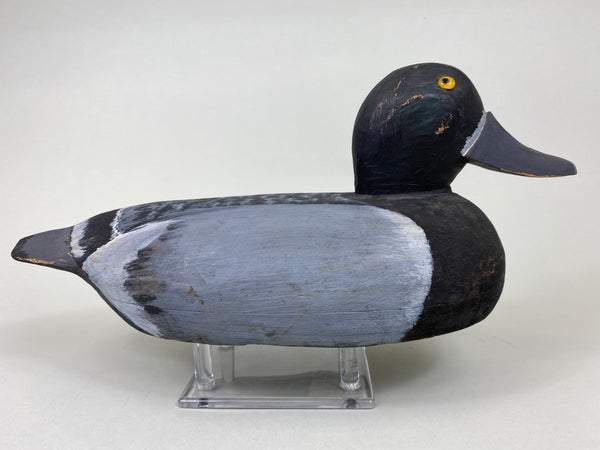 Hollow Illinois River Blue Bill Hen (#6065)