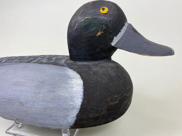 Hollow Illinois River Blue Bill Hen (#6065)