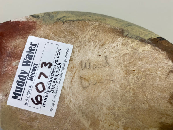 Unknown Wood Duck, Half-Size (#6073)