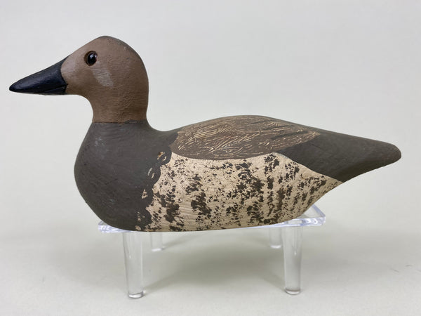 Paul Doering Third Size Canvasback Hen (#6082)