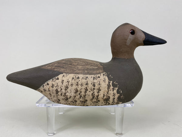 Paul Doering Third Size Canvasback Hen (#6082)