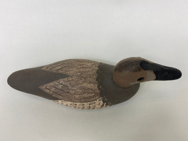 Paul Doering Third Size Canvasback Hen (#6082)