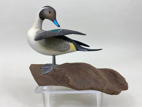 C. W. Waterfield Mini Pintail (#6088)