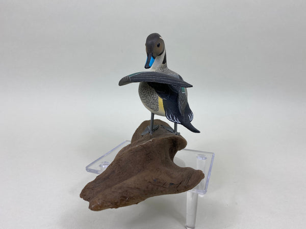 C. W. Waterfield Mini Pintail (#6088)