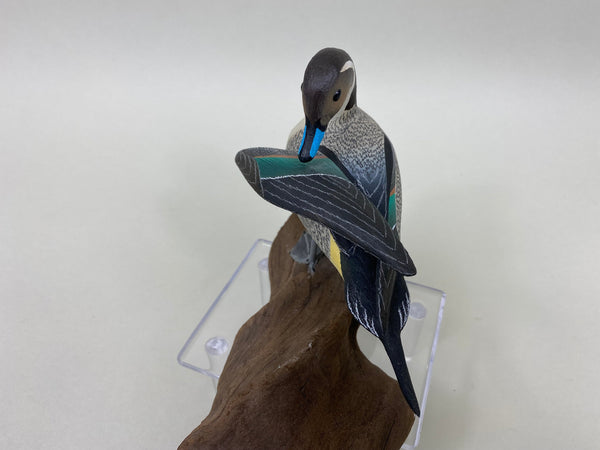 C. W. Waterfield Mini Pintail (#6088)