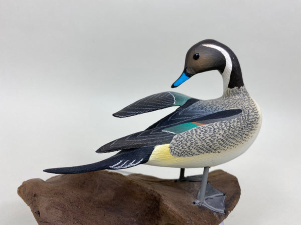 C. W. Waterfield Mini Pintail (#6088)
