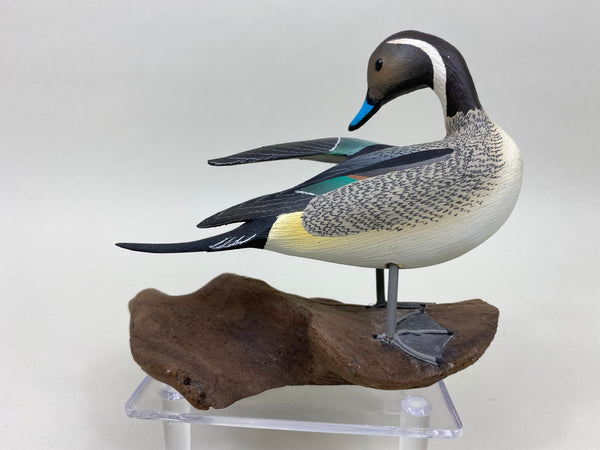 C. W. Waterfield Mini Pintail (#6088)