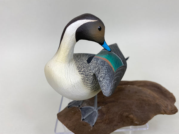 C. W. Waterfield Mini Pintail (#6088)