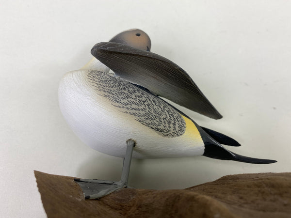 C. W. Waterfield Mini Pintail (#6088)