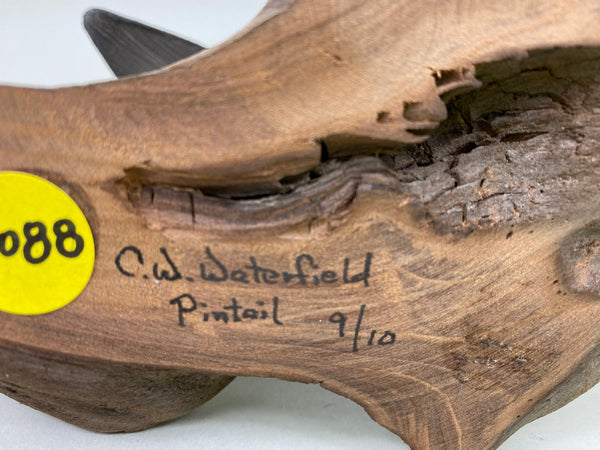 C. W. Waterfield Mini Pintail (#6088)