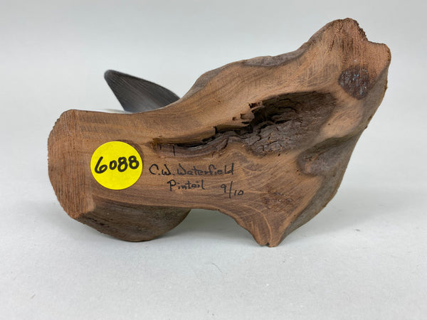 C. W. Waterfield Mini Pintail (#6088)