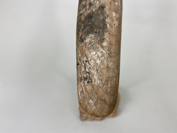 New Jersey Shorebird, Original Paint, Circa 1900's (#6102)