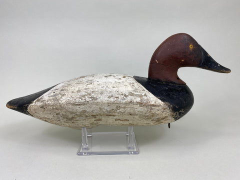 Maryland Canvasback, Branded, Circa 1920's (#6114)