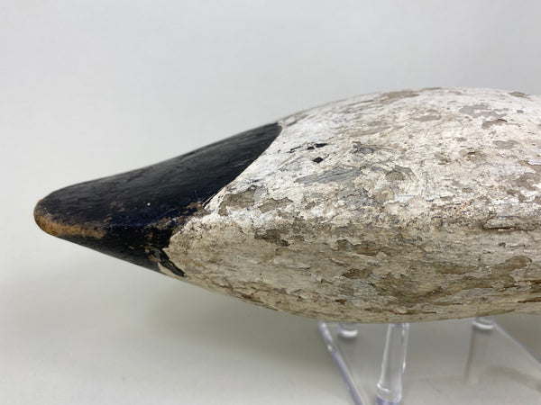 Maryland Canvasback, Branded, Circa 1920's (#6114)