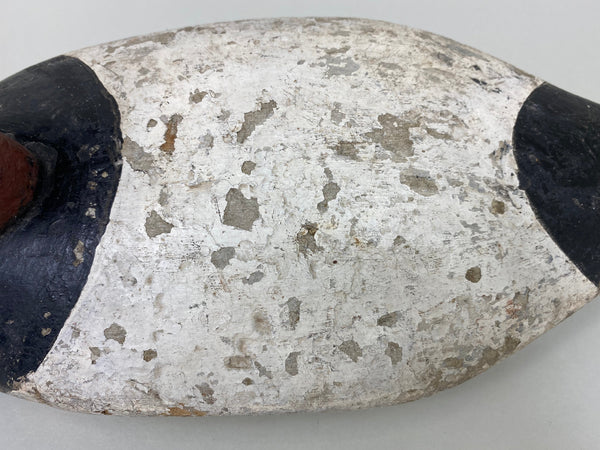 Maryland Canvasback, Branded, Circa 1920's (#6114)