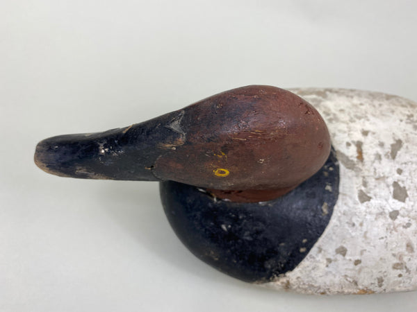 Maryland Canvasback, Branded, Circa 1920's (#6114)