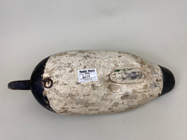 Maryland Canvasback, Branded, Circa 1920's (#6114)