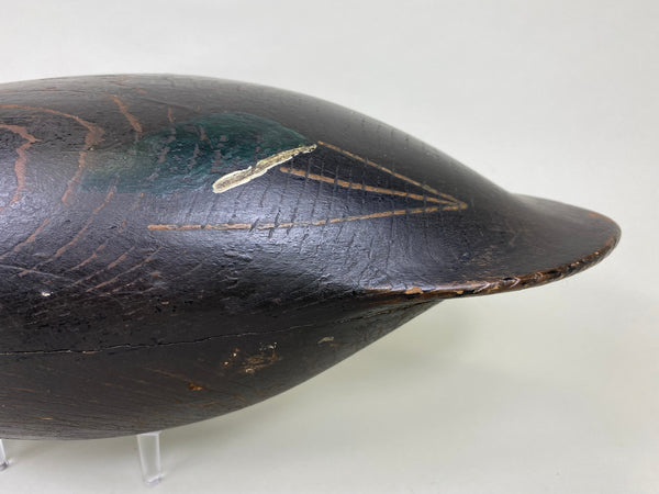 Nathan Rowley Horner Black Duck , All Original (#6185)