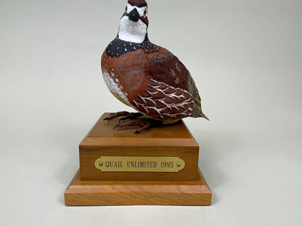 Bobwhite Quail Rooster, Quail Unlimited 1995 (#6197)