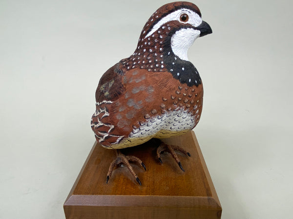 Bobwhite Quail Rooster, Quail Unlimited 1995 (#6197)