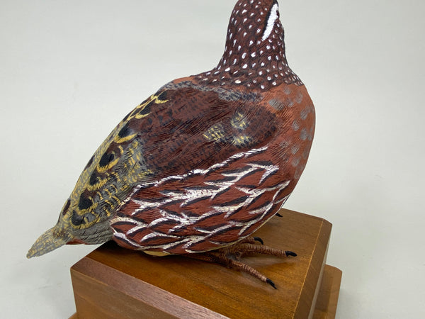 Bobwhite Quail Rooster, Quail Unlimited 1995 (#6197)
