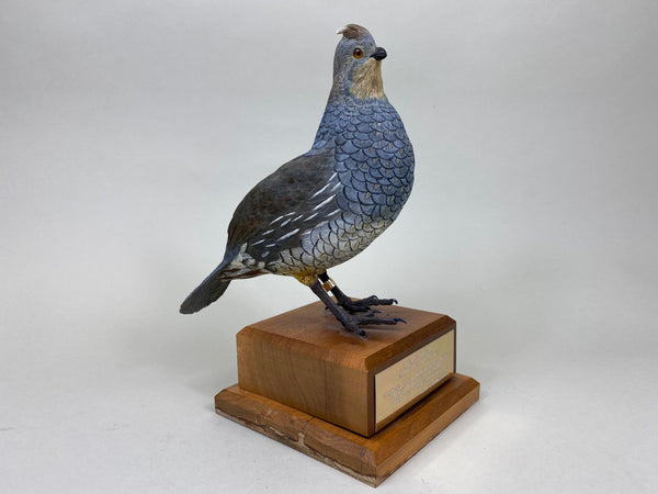 Scaled Quail, Full Size, Quail Unlimited (#6199)