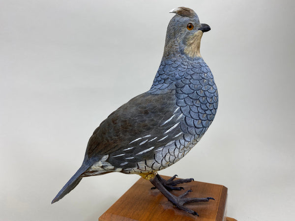 Scaled Quail, Full Size, Quail Unlimited (#6199)