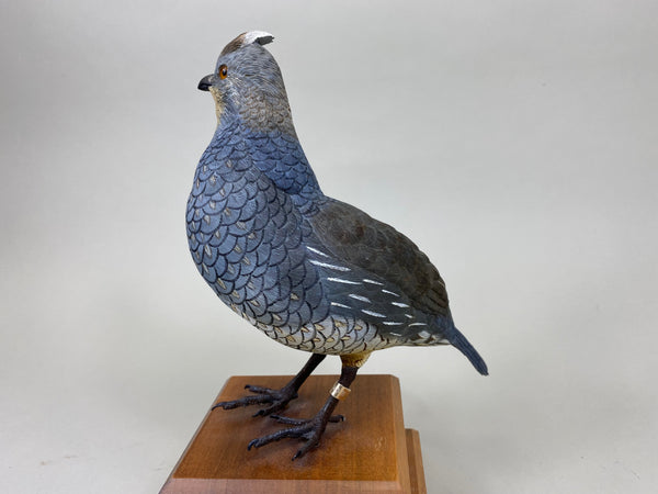 Scaled Quail, Full Size, Quail Unlimited (#6199)