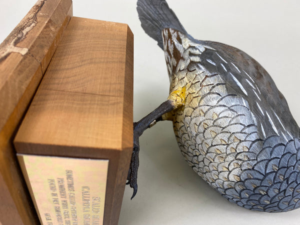 Scaled Quail, Full Size, Quail Unlimited (#6199)