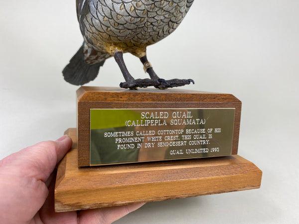 Scaled Quail, Full Size, Quail Unlimited (#6199)