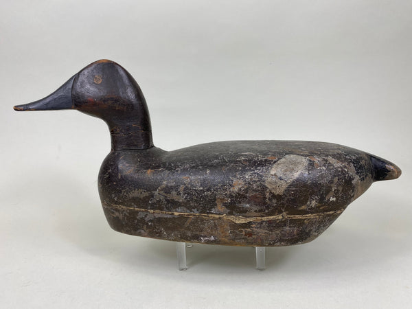Unknown Canvasback, Circa 1910's (#6213)