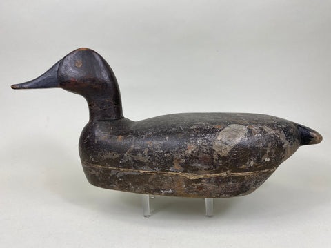 Unknown Canvasback, Circa 1910's (#6213)