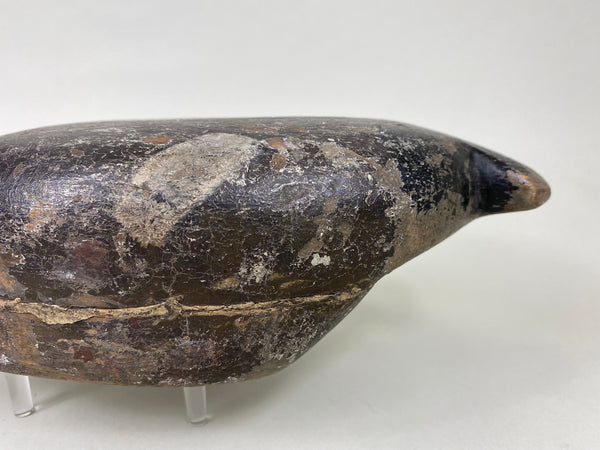 Unknown Canvasback, Circa 1910's (#6213)