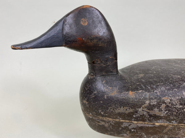 Unknown Canvasback, Circa 1910's (#6213)
