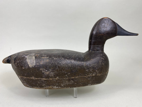 Unknown Canvasback, Circa 1910's (#6213)