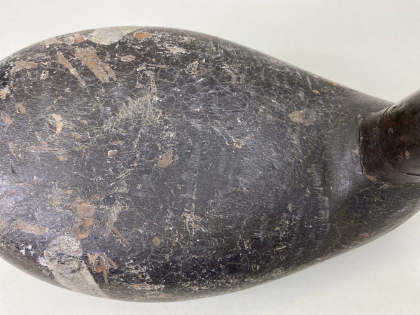 Unknown Canvasback, Circa 1910's (#6213)