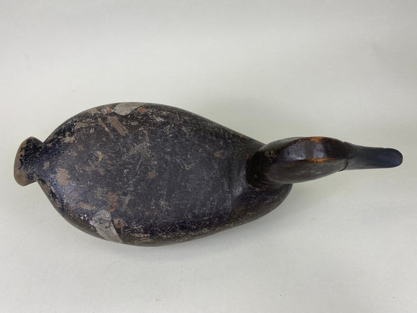 Unknown Canvasback, Circa 1910's (#6213)