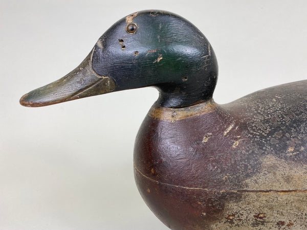 Mason Premier Mallard Drake, Original Paint (#6226)
