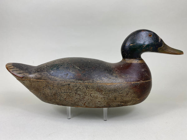 Mason Premier Mallard Drake, Original Paint (#6226)