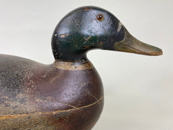 Mason Premier Mallard Drake, Original Paint (#6226)