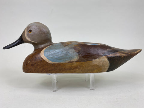 Blue Wing Teal, Solid Body (#6246)