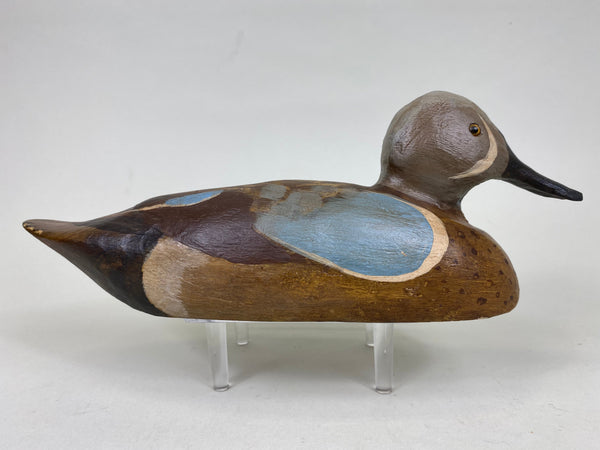 Blue Wing Teal, Solid Body (#6246)