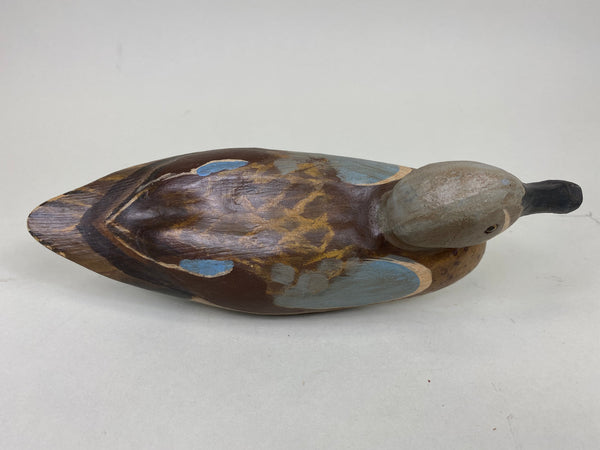 Blue Wing Teal, Solid Body (#6246)