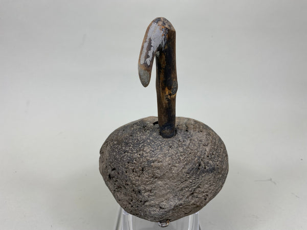 Roothead Coot (#6248)